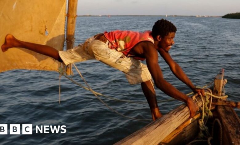 100532091 2eb5db8a 1095 4480 b84f 71c3496e865f.jpg