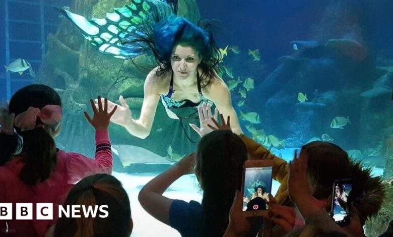 106243823 mermaid