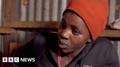 107024894 p079jpbq.jpg