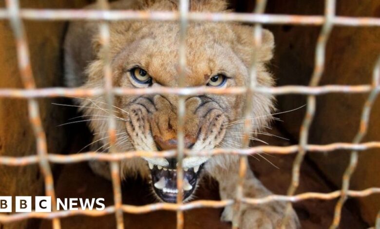 110121926 gettyimages 1187464727.jpg