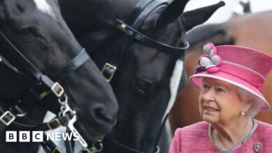 120640344 mediaitem120651164.jpg