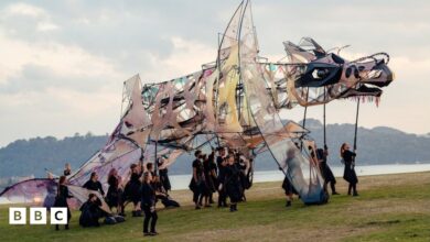 124306682 hatchling sunday credit dom moore