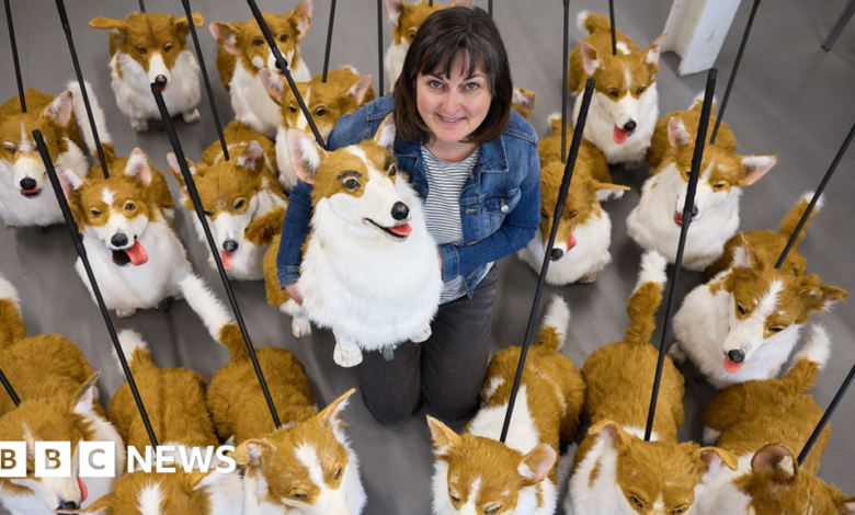 124599507 corgis5