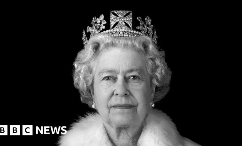 126651847 435ff2c6 9e3b 4f34 ad61 a490726ff112.jpg