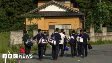 230fda40 9b5d 11ef a9f5 252f62549e4d