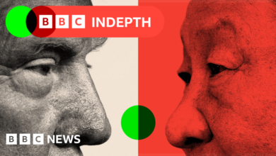 45f66150 a5d0 11ef a4fe a3e9a6c5d640