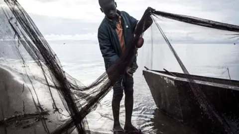 AFP A young Congolese fisherman tends to his nets along the banks of Lake Tanganyika in Kalemie, Democratic Republic of the Congo. His trousers are rolled up and he is wearing a polo shirt with a quilted jacket over it.