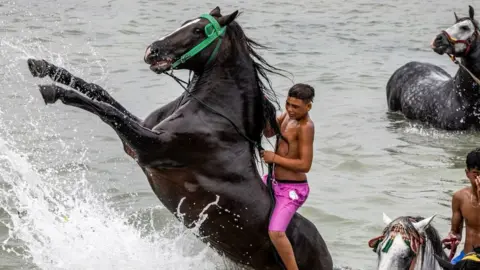 Fadel Senna/Getty Images A boy rides his horse into the Atlantic Ocean during the annual Moussem festival of Moulay Abdellah Amghar near the city of El Jadida - 8 August 2023