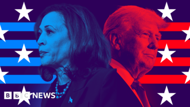 b3ea0cc0 93ec 11ef 8e6d e3e64e16c628