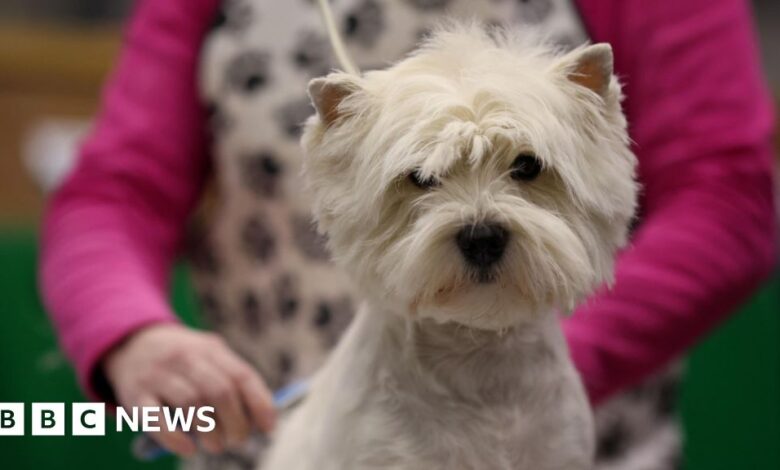 ecd19080 dee8 11ee 982e cb160611306d