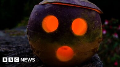 fefb5100 976c 11ef 9260 19e6a950e830.jpg