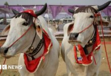 89636411 9216e92c efff 4a34 87a2 b5c919ea857f.jpg