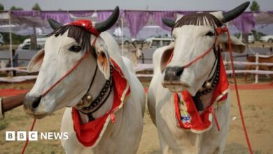 89636411 9216e92c efff 4a34 87a2 b5c919ea857f.jpg