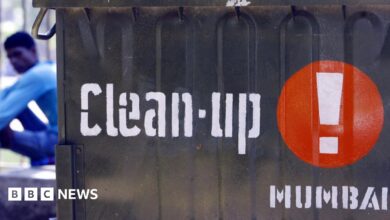 95112717 rubbish.jpg