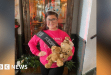 02336e40 c53c 11f0 bf7b db7c049674ab.png