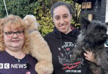 679f1790 d061 11f0 b76c 637a0d75f572.jpg