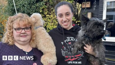 679f1790 d061 11f0 b76c 637a0d75f572.jpg